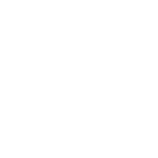 Salurtas-homepage-icon6